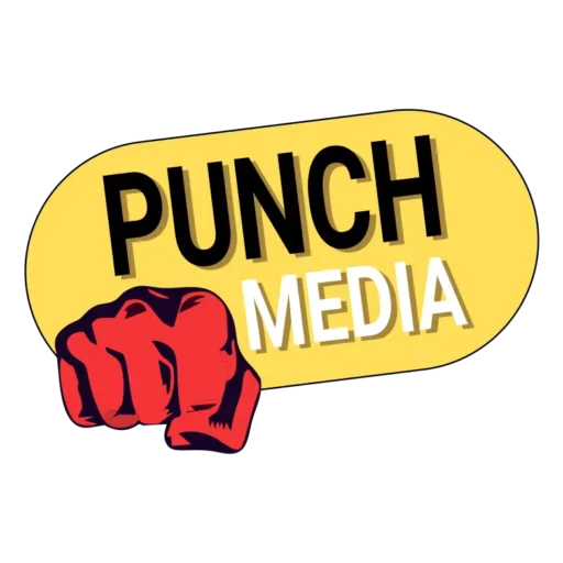 Photo of Punch Media